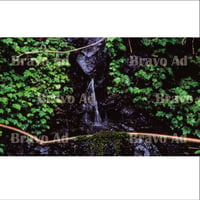 soto-01-00031