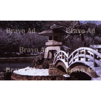 soto-01-00094