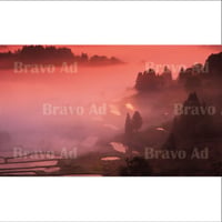 soto-01-00047