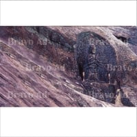 soto-01-00021
