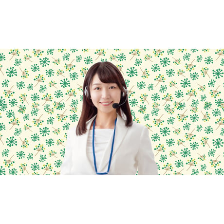 brav-02-00039　Background image pattern