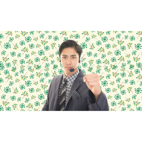 brav-02-00039　Background image pattern