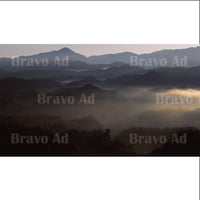 soto-01-00005