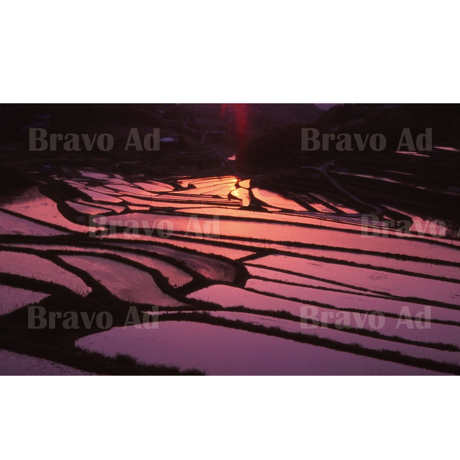 5ea9a062cee9ea21df957915
