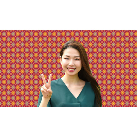 brav-02-00084　Background image pattern