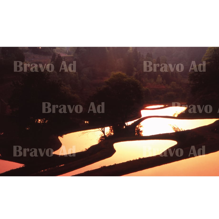 5ea9a23355fa0343e11da01b