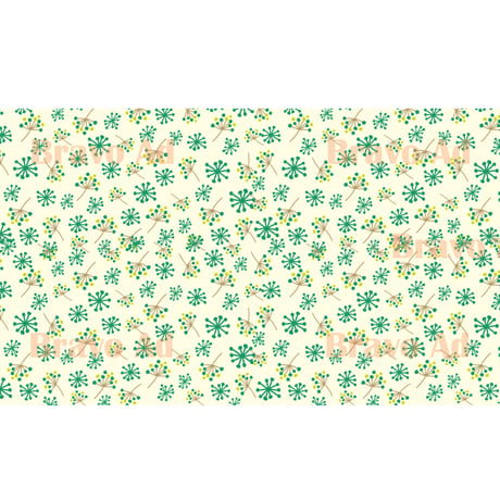 brav-02-00039　Background image pattern