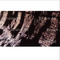 soto-01-00042