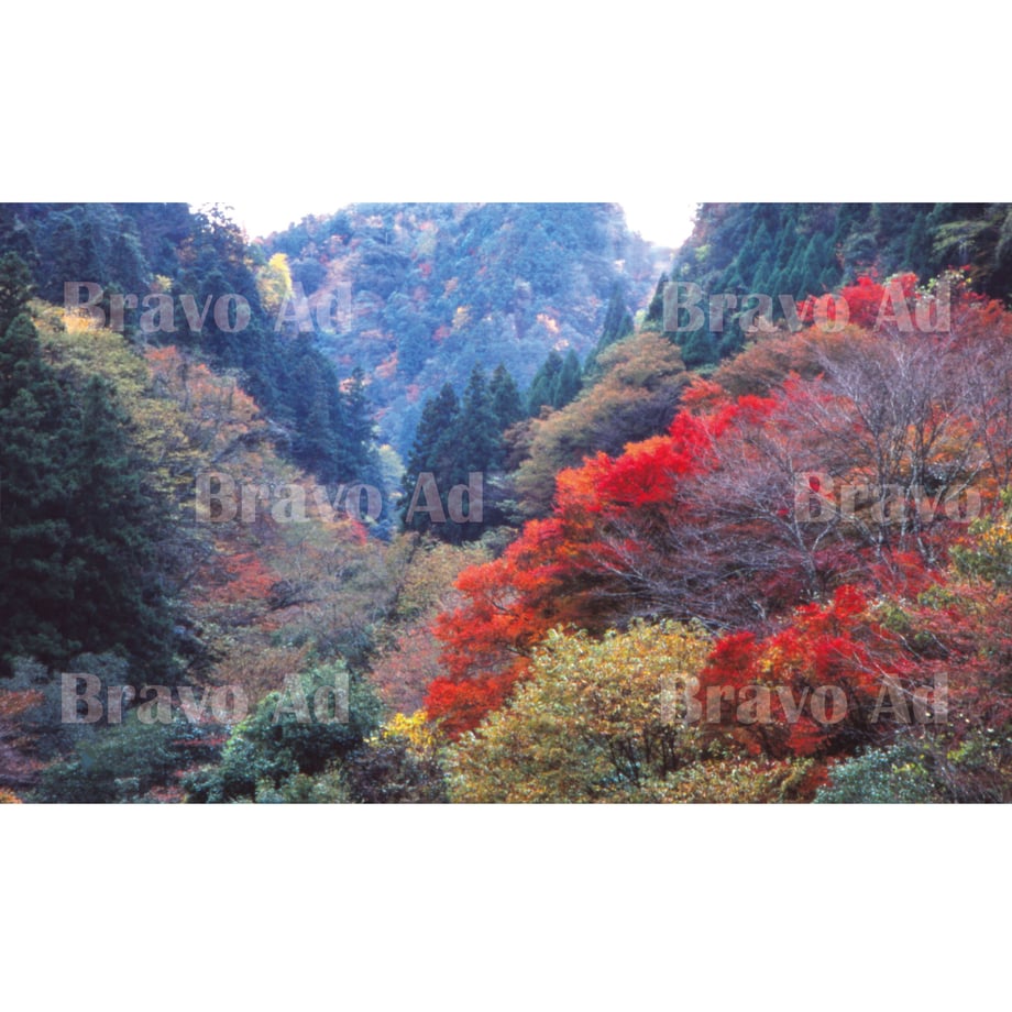 5eb7b83572b9113f6adc70fe