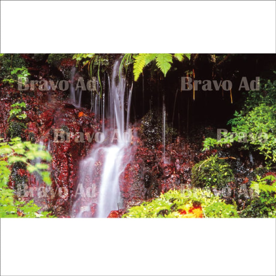 5ea5ad2a34ef012adcdadd74