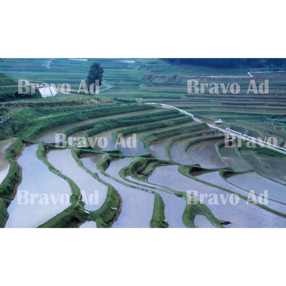5eb033b6bd21787949de0ba6