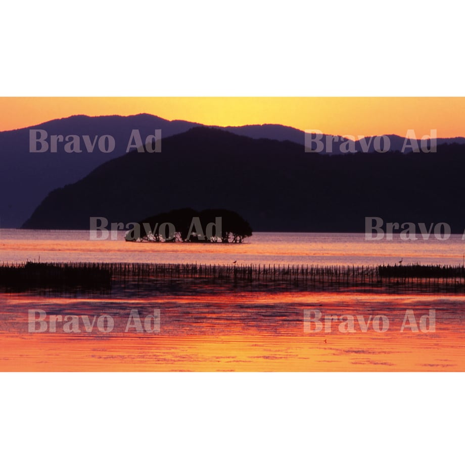 5ea99c8dbd217817ce002b67