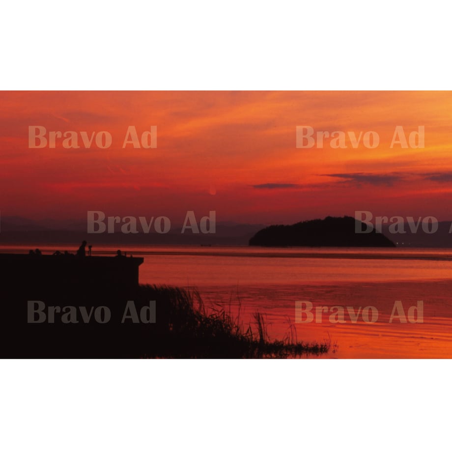 5eb1720155fa032a313e2b65