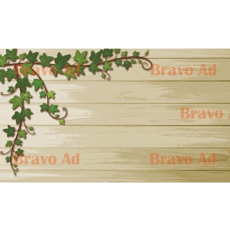 brav-02-00078　Background image