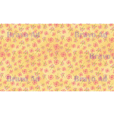 brav-02-00042　Background image pattern