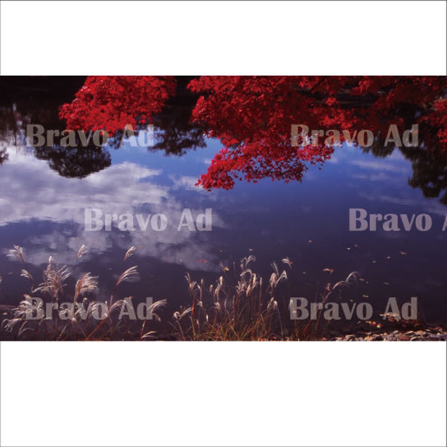 5ea4cbc334ef0161a0dadd5b