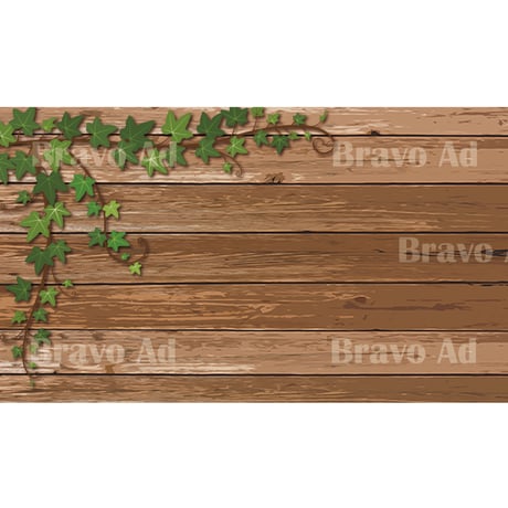 brav-02-00077　Background image