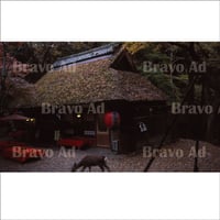 soto-01-00022