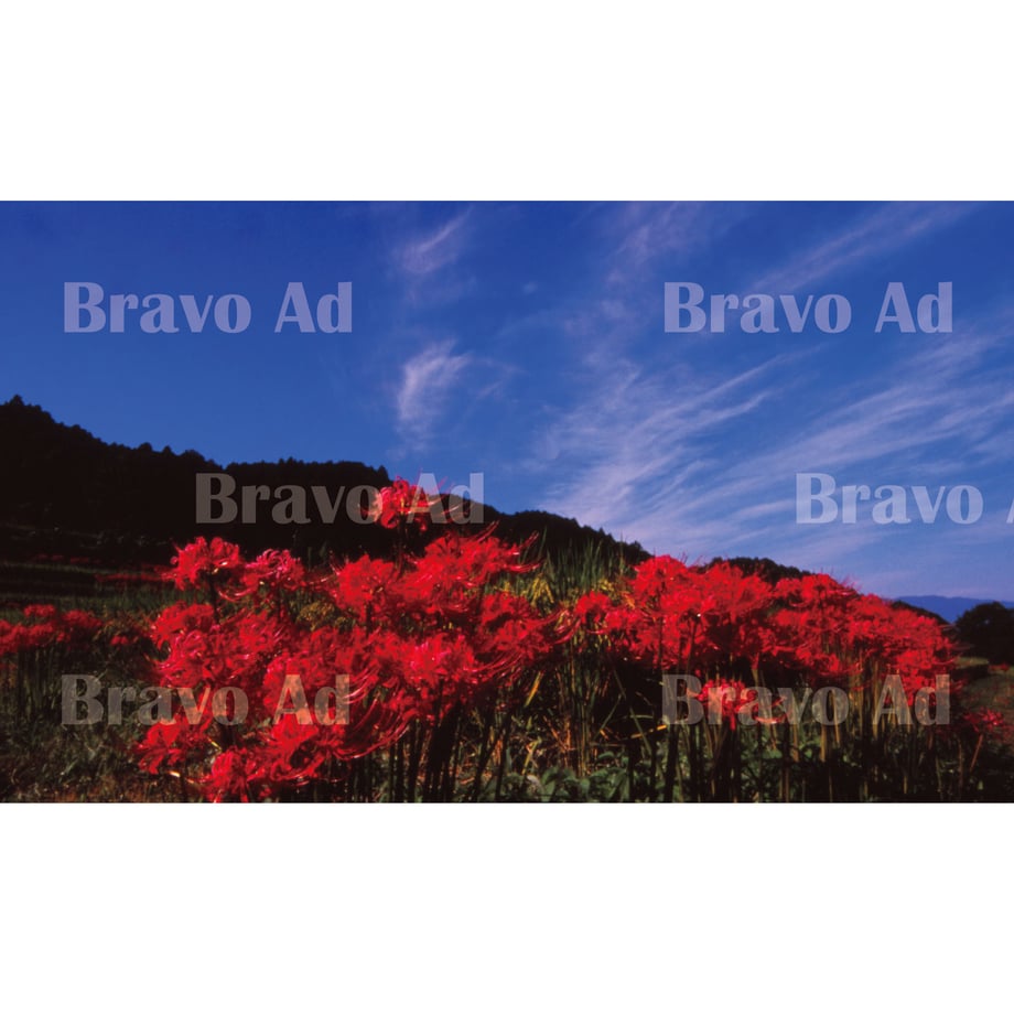 5eaee02234ef0158af044b18