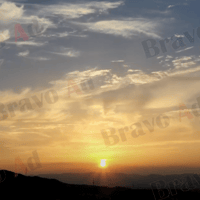 brav-03-00006
