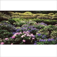 soto-01-00040