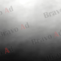 brav-03-00001