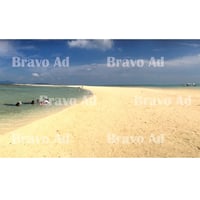 brav-01-00010