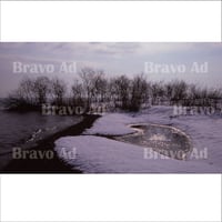 soto-01-00025