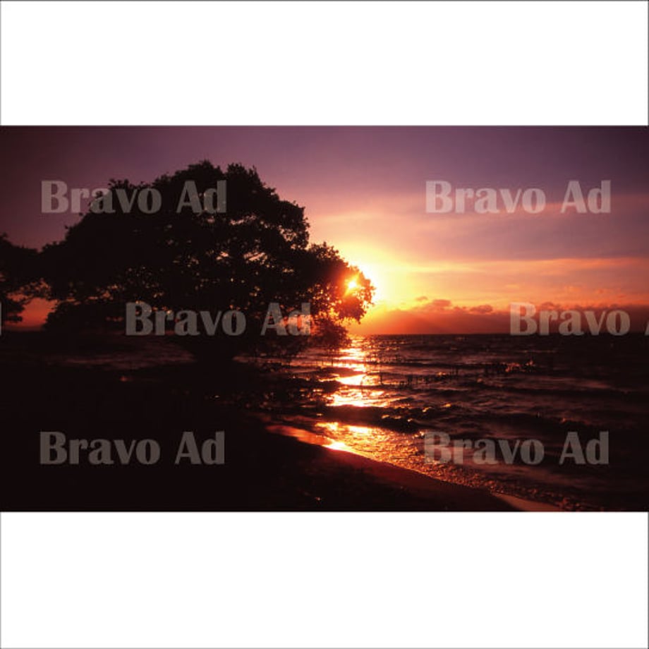 5ea5b05fbd2178410f06c8c3