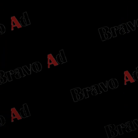 brav-03-00004