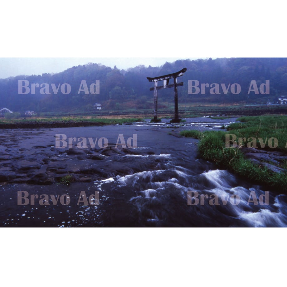 5ea9b05955fa0318531d9fed