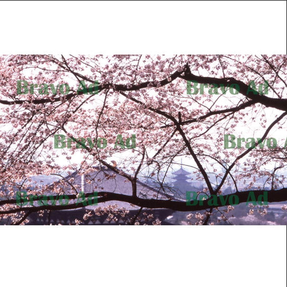 5ea4b1d65157626f83a82d92