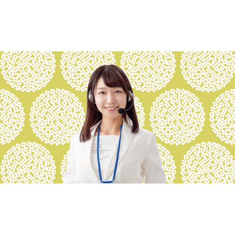 brav-02-00057　Background image pattern