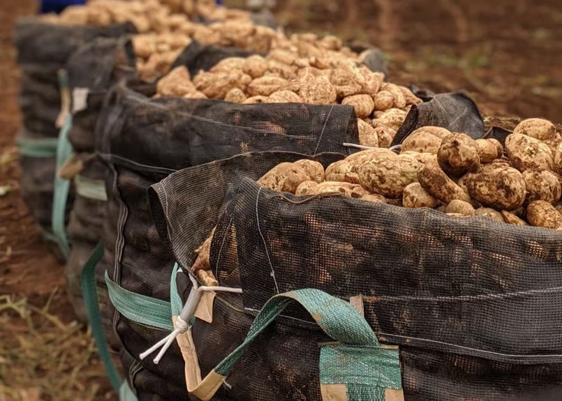 汾酒750ML「一帯一路」2本セット 35.000円に値下げしました。 高千穂酒造 梅酒 リキュール 熟成梅酒 : みやざき物産館KONNE - 通販