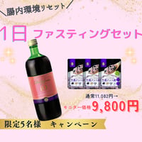ファスティング1日セット
