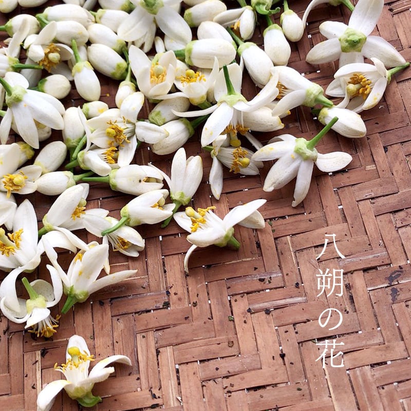 ガラス絵「八朔の花と喇叭」 数量限定レターパック対応】八朔の花紅茶 はなえみ【JAPANESE TEA