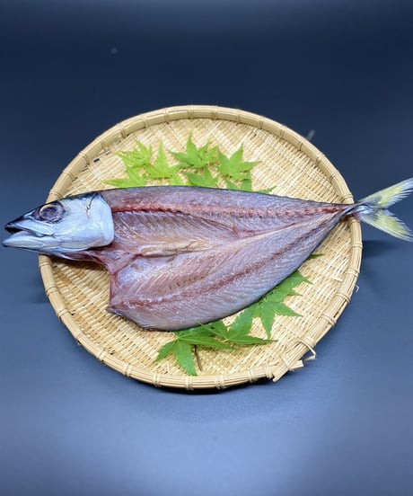 干物詰め合わせ金目鯛入　6種11枚（冷凍）