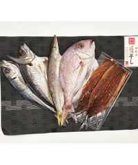 あじ、かます、たい、さんまみりん４種６枚