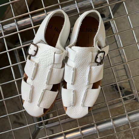 2639-TM2-2202 / TM BUGS  / 220 WHITE