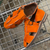 2633-TM2-2202 / TM BUGS  / COWHAIR ORANGE
