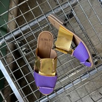 2658-TM2-2201 / BUGS MULE / 9PURPLE x 531GOLD