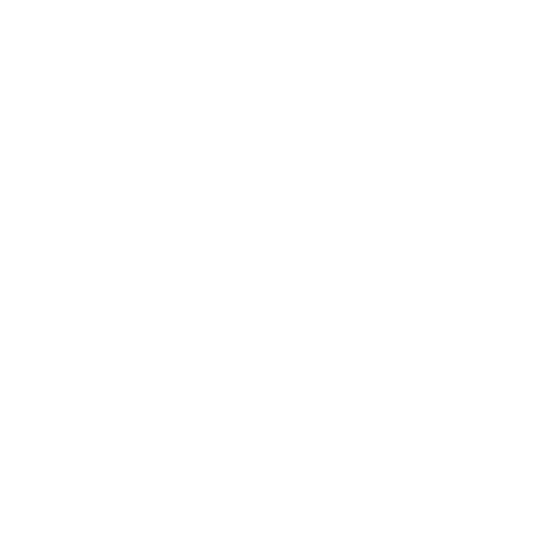 TORASARU_CAKES
