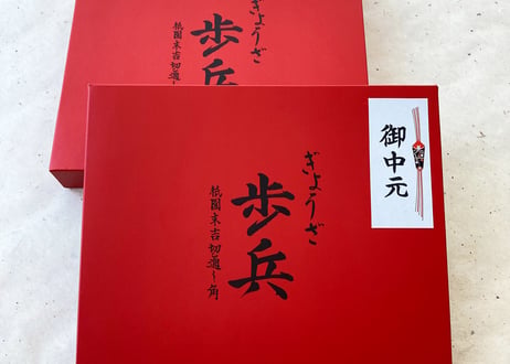 定期お届け「生姜ぎょうざ」48個（冷凍）
