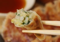 定期お届け にんにく・にら入り「ぎょうざ」48個（冷凍）