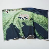 LENS CLOTH
