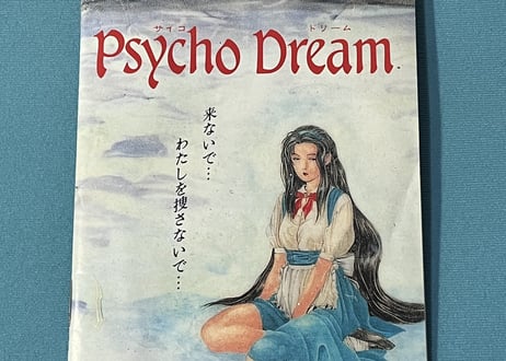 【スーパーファミコン】サイコドリーム（中古ゲームソフト 箱説付 レアソフト）