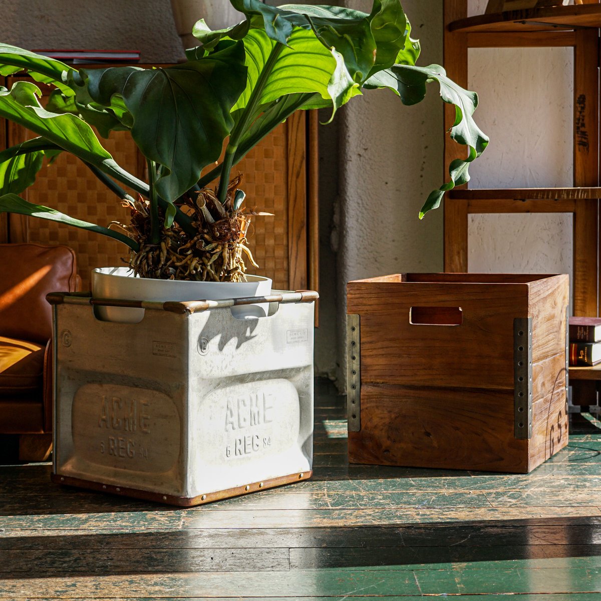 TROY BOX L-size / ACME Furniture | GENERAL STOR