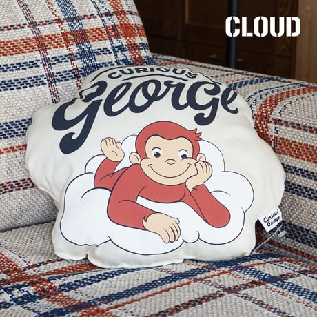 GEORGE CUSHION / ACME Furniture
