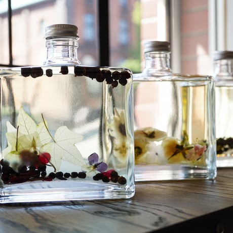 BOTANICAL REED DIFFUSERS / ROSY RINGS