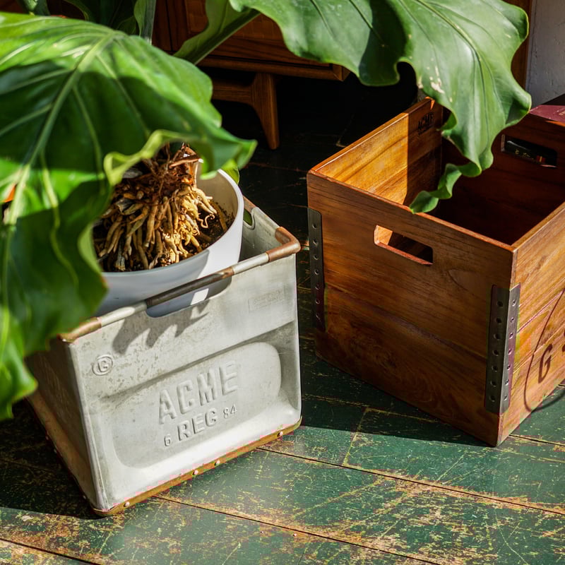 TROY BOX L-size / ACME Furniture | GENERAL STOR